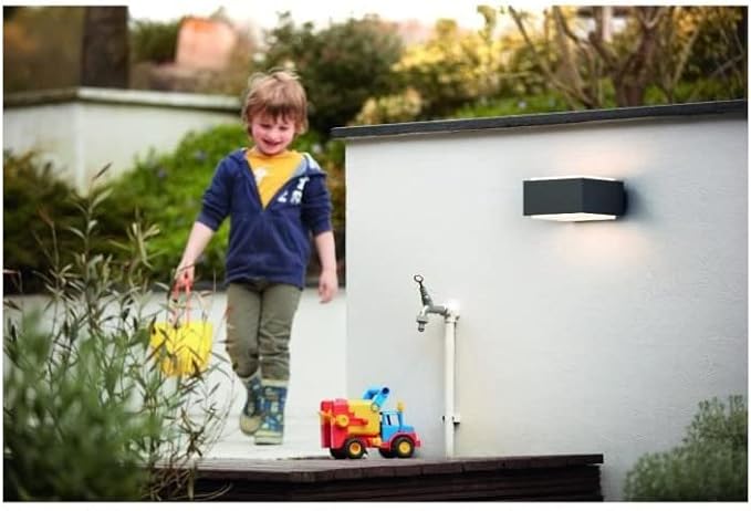 Philips PHILIPS Hedgehog Buitenwandlamp - Antraciet - 1x42W photo 2