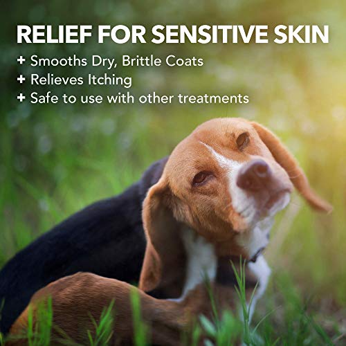 Vet's Best Hypoallergenes Hundeshampoo für empfindliche Haut, lindert Beschwerden bei trockener, juckender Haut, reinigt, befeuchtet und pflegt Haut und Fell 500ml