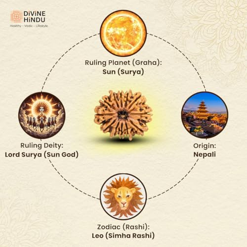 Image of Divine Hindu Original 12 Mukhi (Twelve Face) Indonesia Rudraksha | Dwadash Mukhi Rudraksh Bead for Meditation & Spiritual Growth | Natural Rudraksha for Men & Women | Prayer Bead for Success, Peace
