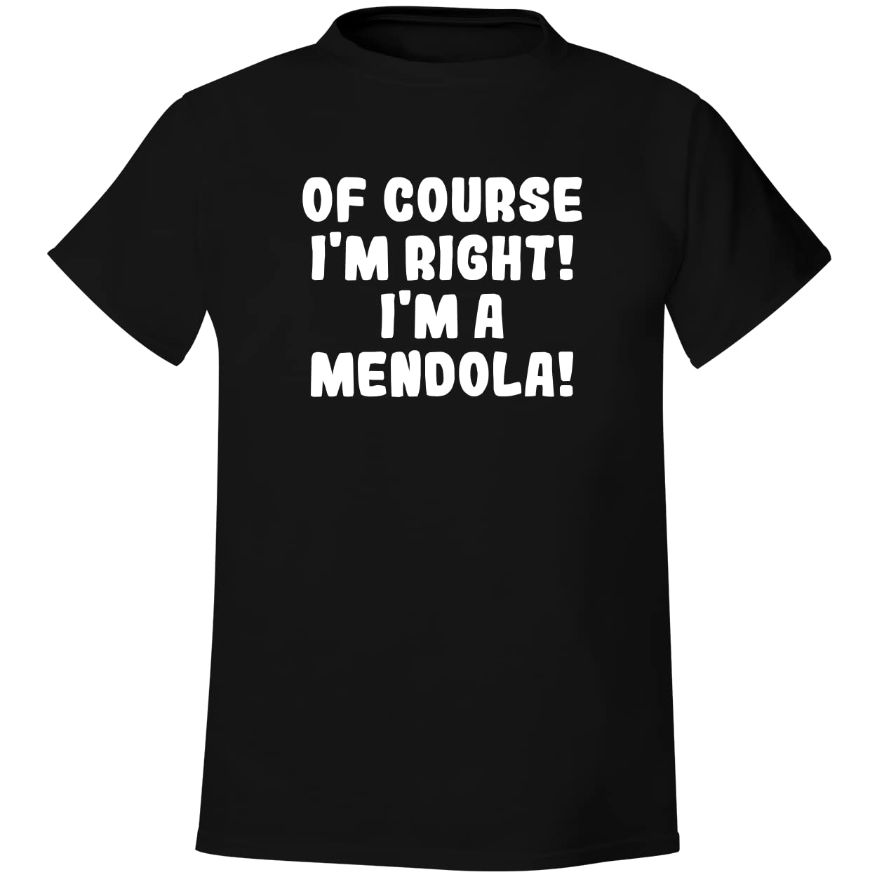 Of Course I'm Right! I'm A Mendola! - Men's Soft & Comfortable T-Shirt