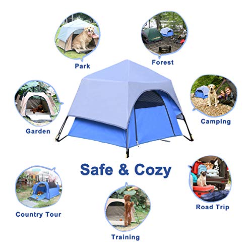 Best Tent For Camping with Dogs The Ultimate Guide My Open Country