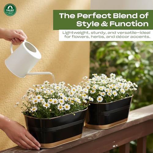 Image of TrustBasket 12 inches, Set of 6 Railing Planter - Premium UV Resistant, Anti-Rust Hanging Pots for Plants | Stylish Hanging Planters for Balcony | Indoor & Outdoor Pots for Balcony Decoration (Black)