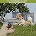 ZhongShuang 2 Stück,Klicker Hund, Finger Clicker, Klicker zur Hundeerziehung, Praktisches Hundetraining-Zubehör als Fingerring-Clicker Hund für Hunde