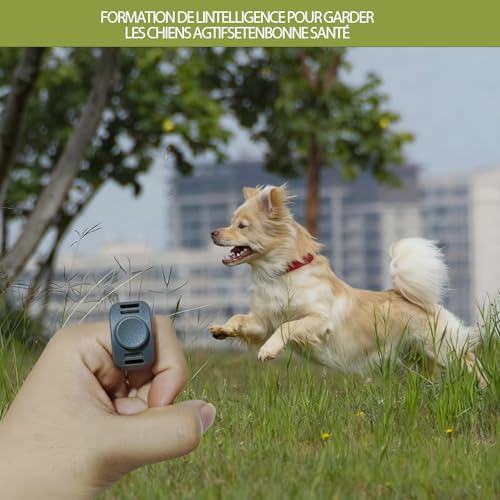ZhongShuang 2 Stück,Klicker Hund, Finger Clicker, Klicker zur Hundeerziehung, Praktisches Hundetraining-Zubehör als Fingerring-Clicker Hund für Hunde