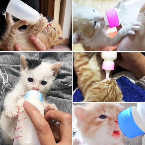 Aufzuchtflasche Katze, 60 ml katzenaufzuchtmilch Haustier Babyflasche Kit, Aufzuchtflasche Pet Milchflasche Haustier Babyflasche Kit mit Reinigungsbürste und Ersatznippeln für Kätzchen und Kleintiere