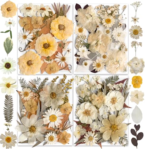 Image of 96PCS Vintage White Dried Pressed Flowers for Resin Craft - YouthBro Real Nature Flowers Set with 50 PCS Butterfly Stickers for DIY Scrapbook Art Floral Decors