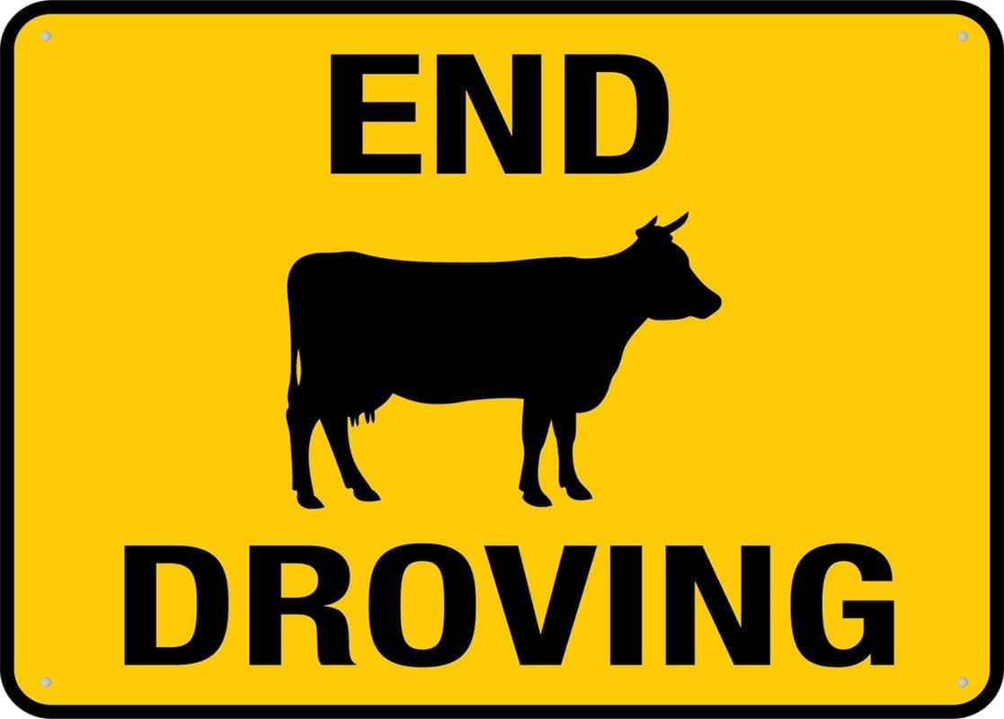 End Droving (Livestock Herding) Rust Free Aluminum Tin Sign - Warning Decor with Pre-Drilled Holes for Indoor-Outdoor Rural Road, Farm Pasture Exit - 8x12 Inch​