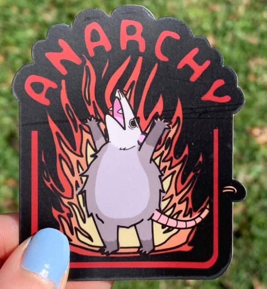 Amazon.com - Anarchy Flaming Possum Vinyl Sticker Decal Cars
