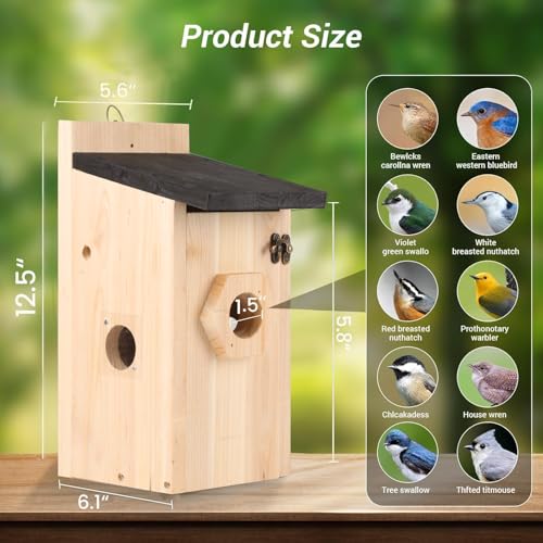 Vogelhaus mit Kamera, 5MP HD Nistkasten für draußen, 2,4G WiFi & App Benachrichtigung, Beobachten Sie das Nisten und Schlüpfen, automatische Aufnahme von Vogelvideos & Bewegungserkennung, Solarbetrieb