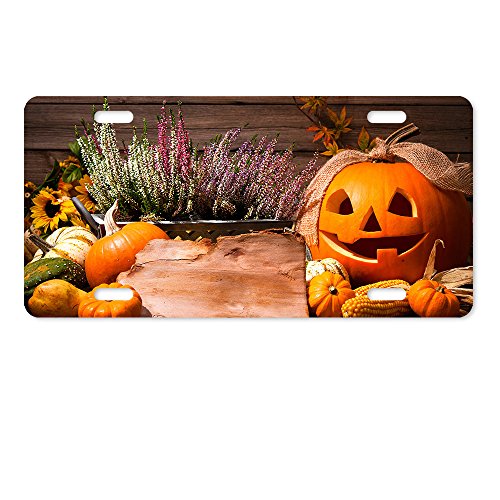 Warrantyll Nature zucca piastra Covers novità