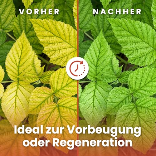 LERAVA® – Eisenchelat Dünger (800g) – Eisendünger für Pflanzen | Hortensien Dünger Eisen – Wirkt gegen Chlorose & Blattvergilbung – Kräftiges Blattgrün & sichtbarer Effekt nach wenigen Tagen 6