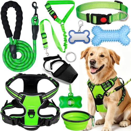 YXFDOYT No-Pull Dog Harness & Leash Set (Green, Large)