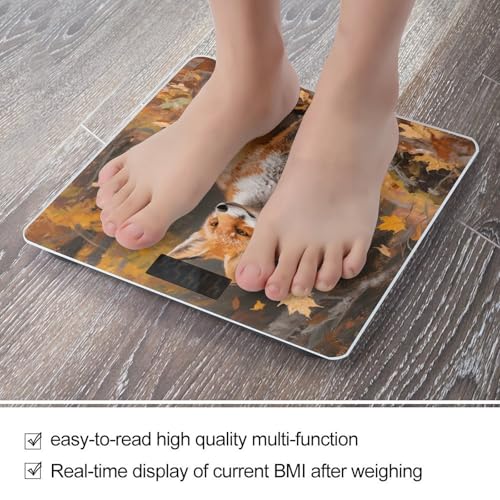 Báscula Digital de Baño Sly Fox con Pantalla LED miniatura 5