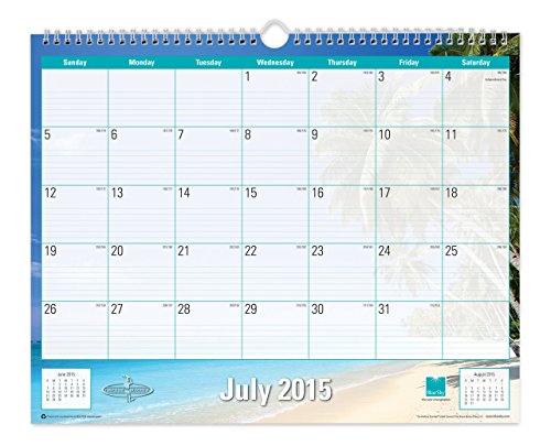 Blue Sky 2015-2016 Academic Year Wall Calendar, Endless Summer Collection, Wire-O Bound, 15 x 12 Inches (17085)