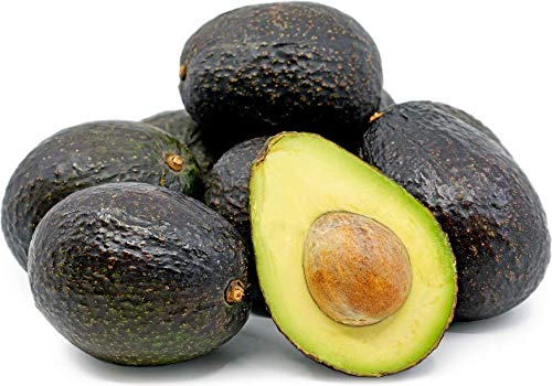 Rare Dwarf Grafted Hass Avocado Persea Americana Healthy Live Plant-image-15