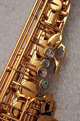Amazon | Cannonball キャノンボール アルトサクソフォン Sceptyr Semi