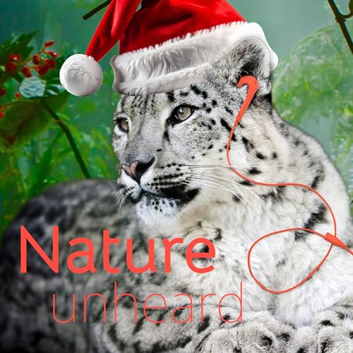 Nature Unheard: The Year in Review (and the Quiz That Puts Us to the Test)