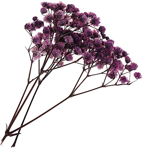 Flores y hojas secas prensadas naturales para manualidades miniatura 3