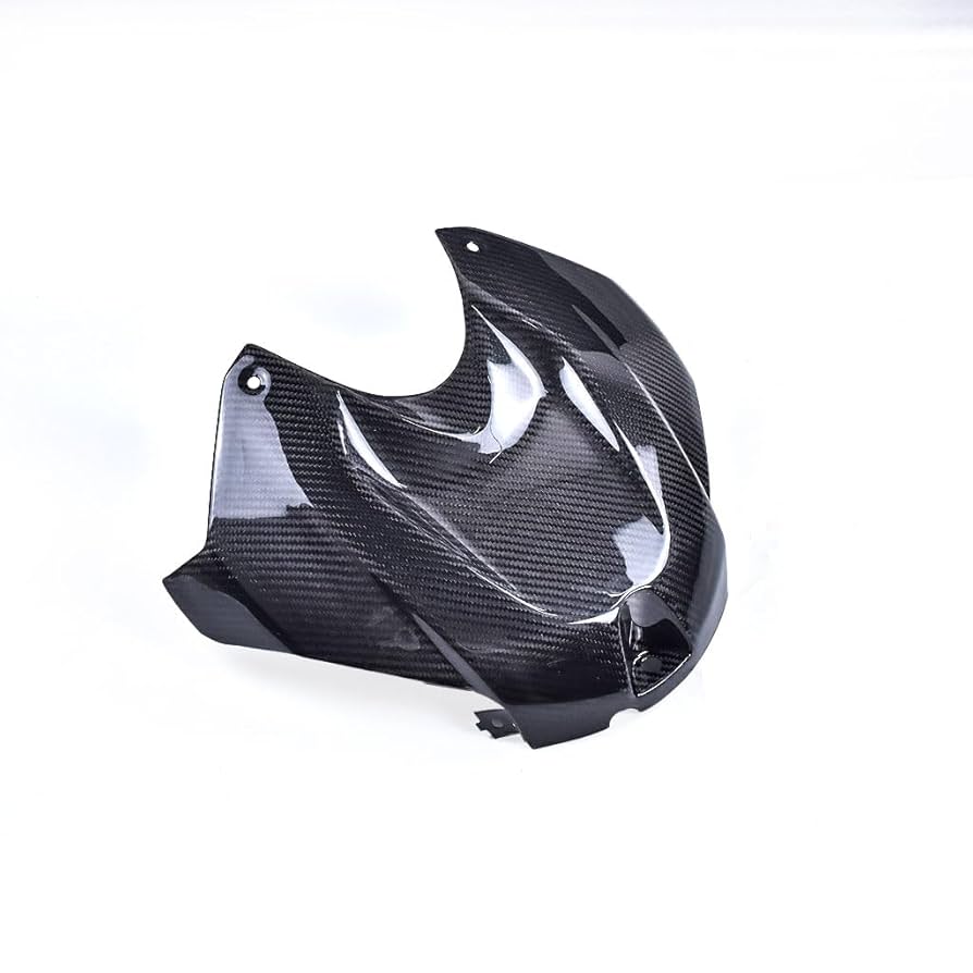 Amazon.com: Motorcycle Front Tank Airbox Cover for BMW