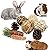 LLGLEU 2 Pcs Grass Mat for Rabbit with 4 Play Balls Pine Cone Carrot Bunny Chew Toy Natural Woven Bed Mat Molar Teeth Set for Guinea Pig Chinchilla Squirrel Hamster and Small Animal (Typ1)