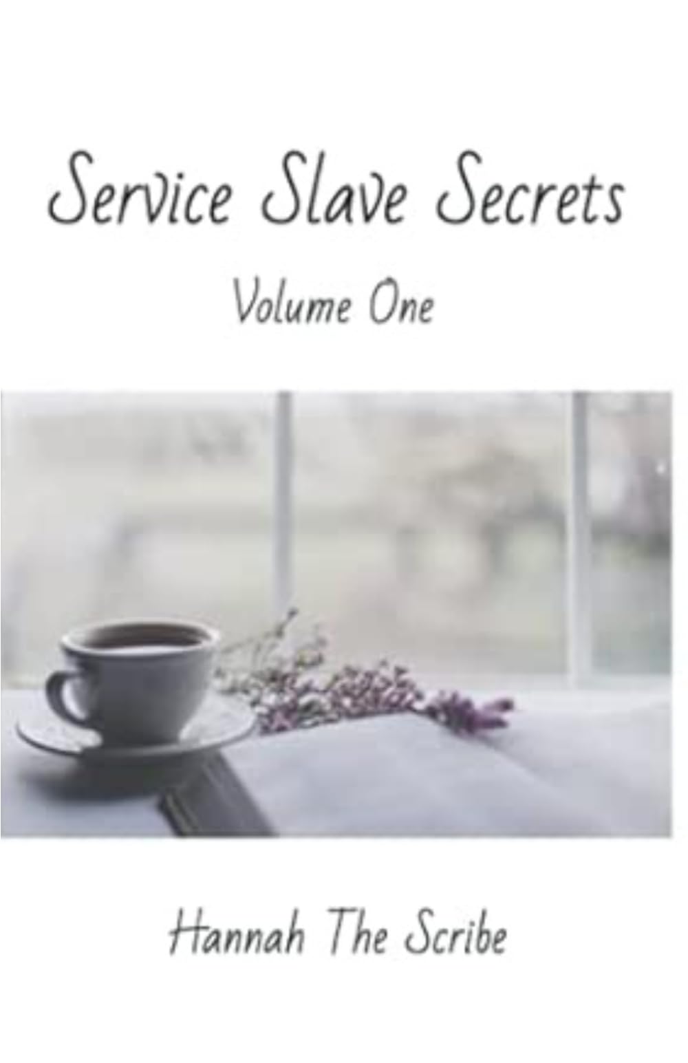 Service Slave Secrets: Volume One: 1