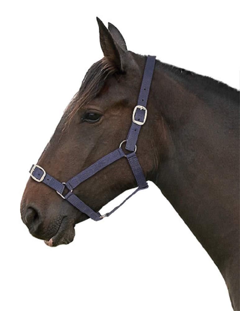 Gallop Adjustable Padded Headcollar, Shetland Size, Navy Blue