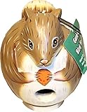 Songbird Essentials SE3880086 Squirrel Gord-O Birdhouse (Set of 1)