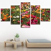 SIGNWIN 5 Panel Canvas Wall Art Assorted Fields for Home Decorations Ready to Hang - 60
