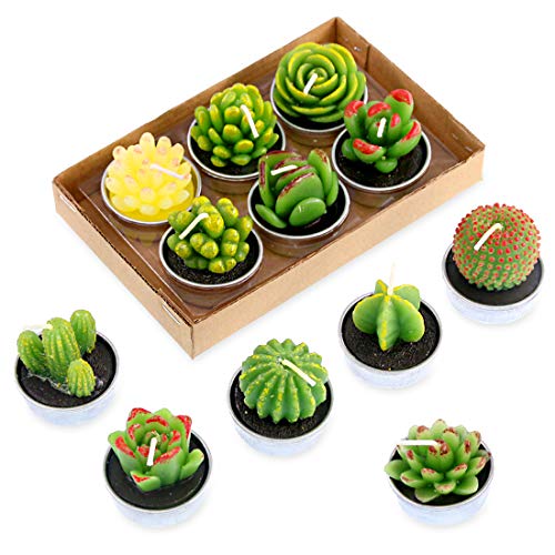 Swpeet 12Pcs Decorative Succulent Cactus Tealight Candles Kit, Cute Smokeless Succulent Plants...