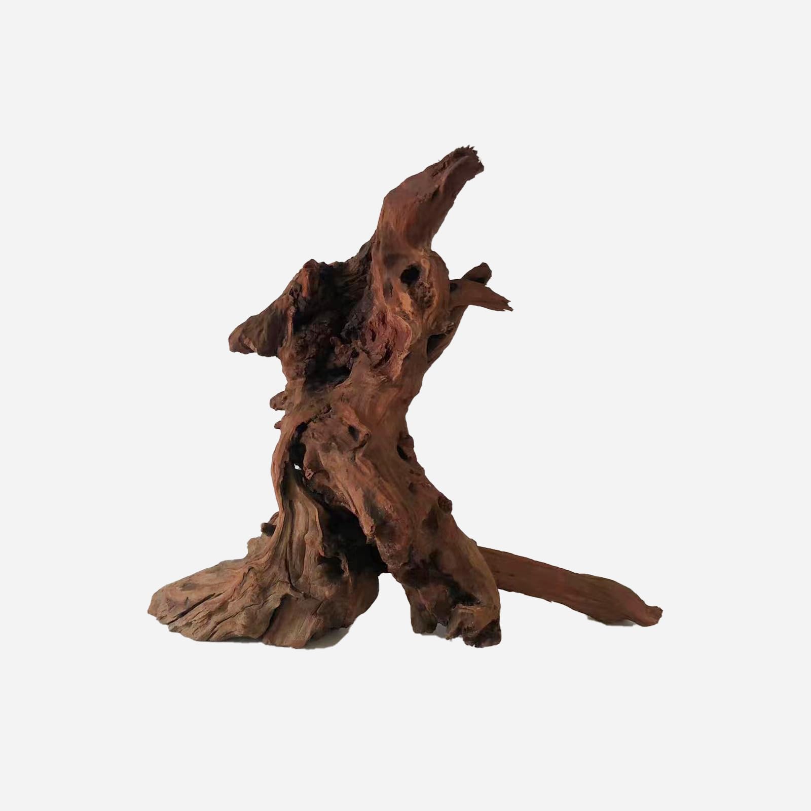 LYPHARD AQUARIUMS Natural Driftwood for Aquarium Decor, L15.75×W7.87×H13.78 Inches Large Drift Wood Decorations for Reptile Hide, Fish Tank, Optional Shapes