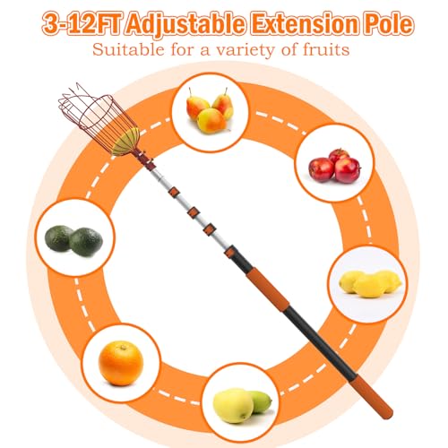 SISIUPASSIE 20FT Reach Fruit Picker, Apple Picker Pole with Basket Telescoping Tool for Apple Lemon Orange Mango Avocado Fruit Tree Picking