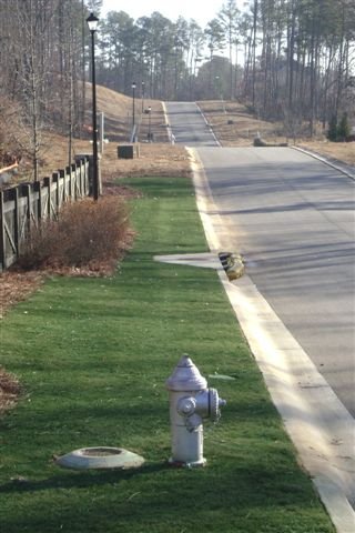 Envirocolor 4Eg0032 851612002100 (1,000 Sq.ft) 4Evergreen Grass & Turf Paint, Green #TOP4