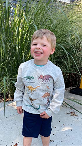 Image of Akyzic Boys Sweatshirts Cotton Long Sleeve Crewneck Pullover Toddler Kids Winter Warm Shirt Sweater Tops 3t-8t