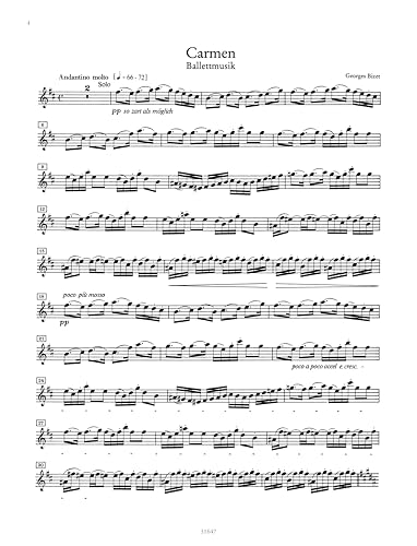 Orchesterprobespiel: Flöte / Piccoloflöte: Sammlung wichtiger Passagen aus der Opern- und Konzertliteratur