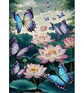 ZHUMUTO Diamond Painting Adulte Grand Format,40x70cm Peinture Diamant XXL Paysage Aurore Boreale A,Broderie Diamant Painting Kit Complet,Grande Taille Pour La Décoration