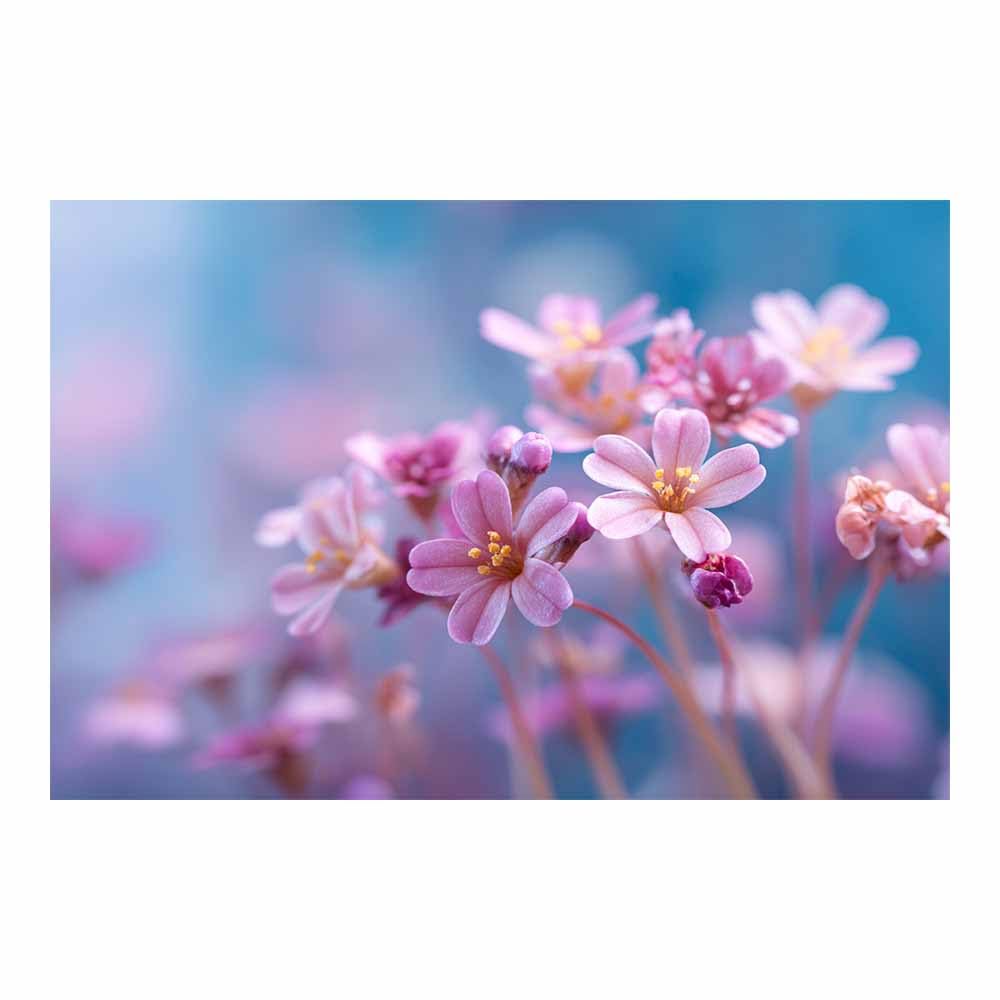 ZAMAEIU Canvas Print Wall Art Small flower clusters Modern Nature Landscape Poster, for living room, bedroom,Corridor Office Room Decoretc.(pink)-50x70cm Unframed