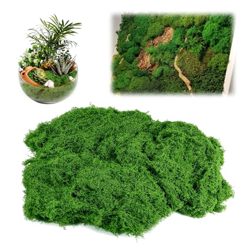 PRZRAO 100 g Musgo Artificial para Decoracion, Suave y Reutilizable, Musgo Simulación Césped Artificial para Decoración de Manualidades, Decorar Hogar, Planta Verde Artificial (Verde Oscuro)