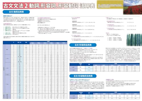 proceedx中学学習ポスター10044古文文法2動詞、形容詞、形容動詞活用表A2サイズ 中学 高校 一般 暗記 日本製 折り目なし送付 10044