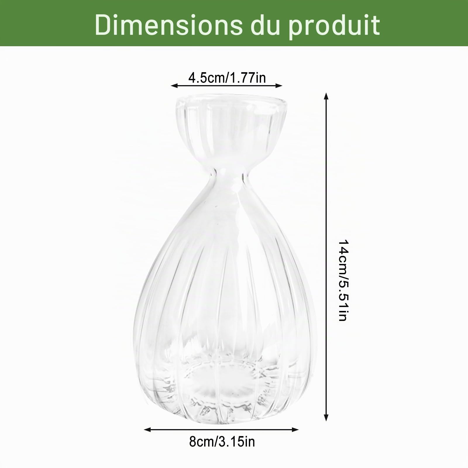 Lot de 2 pots en verre pour graines d'avocat, pots fleurs pour avocat en croissance, kit de culture d'arbre avocat en verre pour jardinage (Transparent)