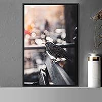 Framed Canvas Wall Art Bird on Railing Beach Birds Expressive Group Living Room Multicolor Photography - 16x24 inches