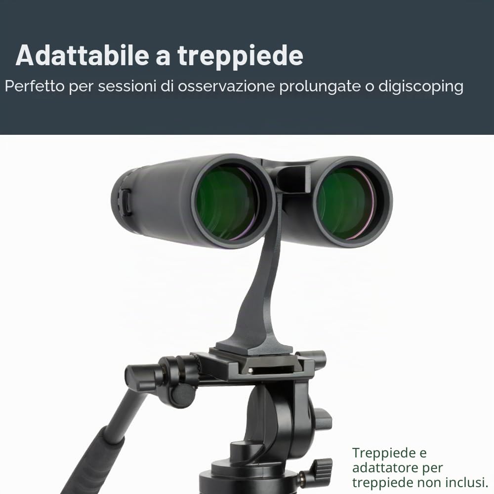 Celestron 71346 8 x 42 Outland X Binocolo, Nero, Outland X 8 x 42 Roof Prism