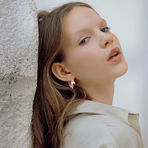 Horse Earrings Women 925 Sterling Silver Horse Lever Back/Ring/Stud Earrings Cute Animal Jewelry Gifts for Women4