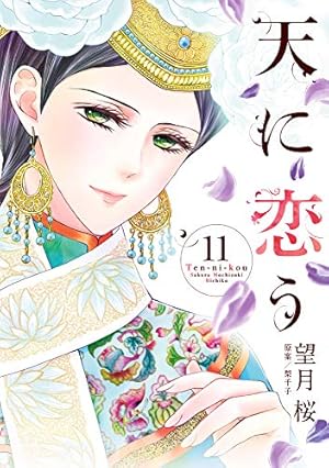 Amazon.co.jp: 天に恋う 13 (ミッシィコミックス/NextcomicsF) : 望月