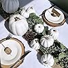 Winlyn 10 Pcs Assorted White Artificial Pumpkins Harvest White Pumpkins Decorative Pumpkins Foam Rustic Fall Pumpkins for Autumn Fall Wedding Thanksgiving Halloween Props Home Seasonal Mantel Décor #3