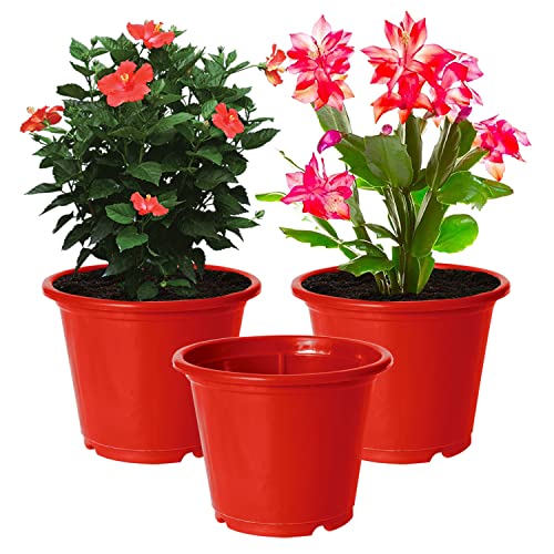 Image of Kuber Industries Durable Plastic Flower Pot|Gamla with Drain Holes for Indoor Home Decor & Outdoor Balcony,Garden,6 inchx5 inch,Pack of 3 (Red)
