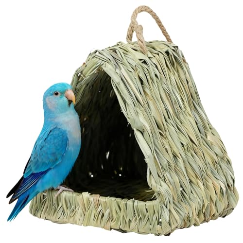 �o�[�h�n�E�X - �D�葐�n�b�g �o�[�h�n�E�X | ���̉c���� - �X�Y�� �I�E�� �I�J���C���R �t�B���` �V�W���E�J�� �Z�L�Z�C�C���R �J�i���A�p