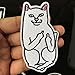 Produktbild pinruitai Kostengünstige Katze mit dem Finger Patch zum Aufbügeln Aufnähen Applikation Kleidung Schuhe Taschen Dekoration Patch Bekleidung Mittelfinger Katze Aufnäher für Zuhause Dekoration Cat.