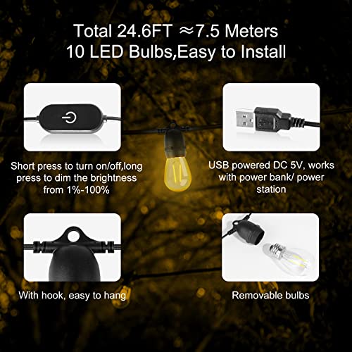 Brimax Outdoor String Lights 24.6Ft Usb Powered, Waterproof Led String Lights For Camping & Tents Add Warm Ambience To Your Camp Site Lightweight & Bright Enough To Cook S14 Shatterproof Bulbs #TOP2