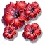 Red Hibiscus