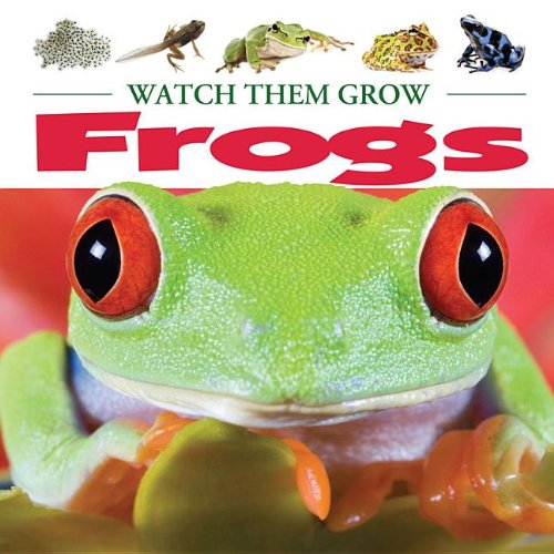  Frogs